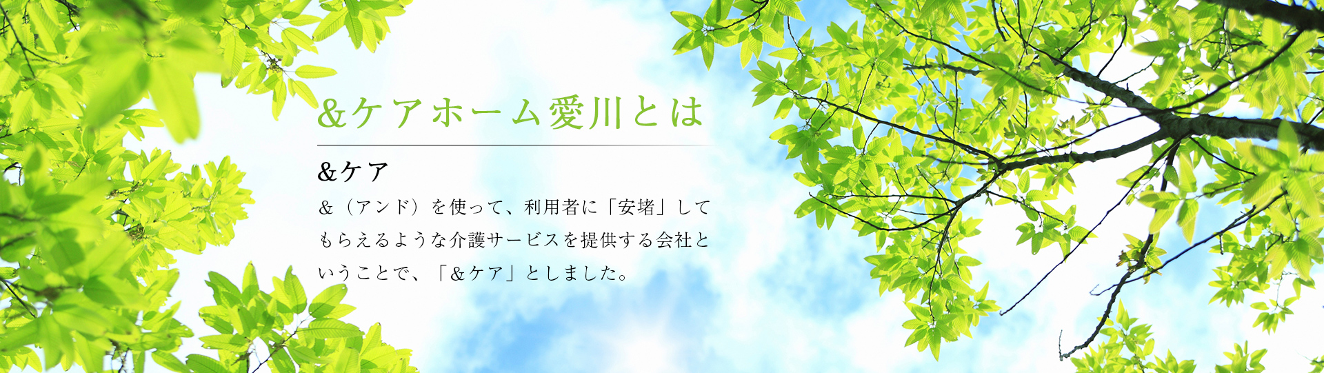 &ケアホーム愛川とは